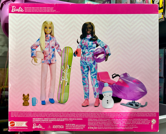 Barbie Winter Sports Playset