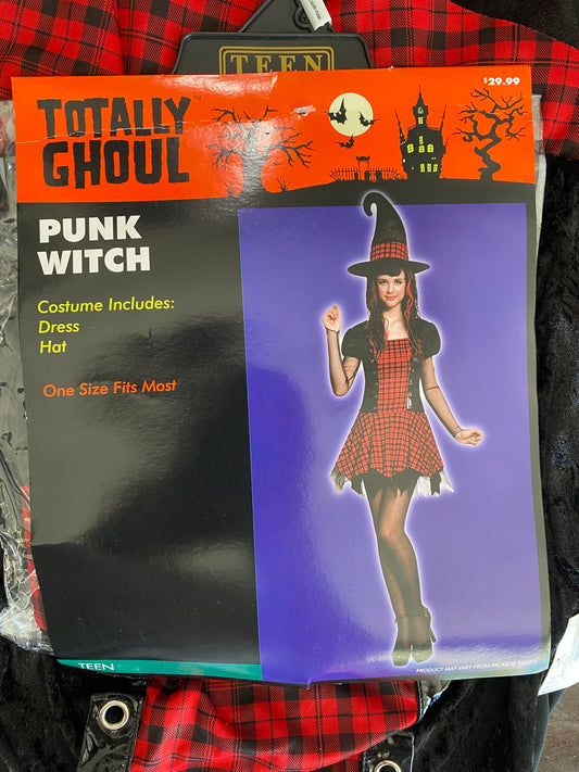 Totally Ghoul Punk Witch Halloween Costume Size-Teen 29040