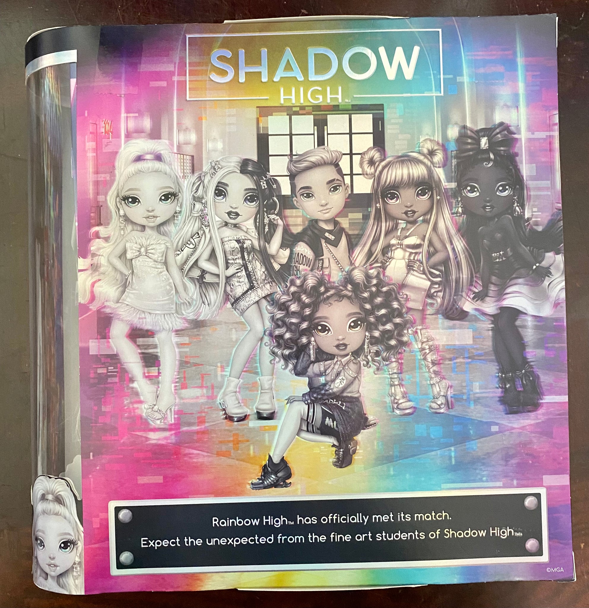 Rainbow High Shadow Series 1 Luna Madison Greyscale Box Fashion