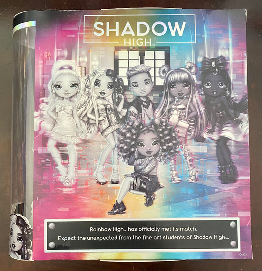 Rainbow High Shadow Series 1 Ash Silverstone Greyscale Box Fashion Doll 58357