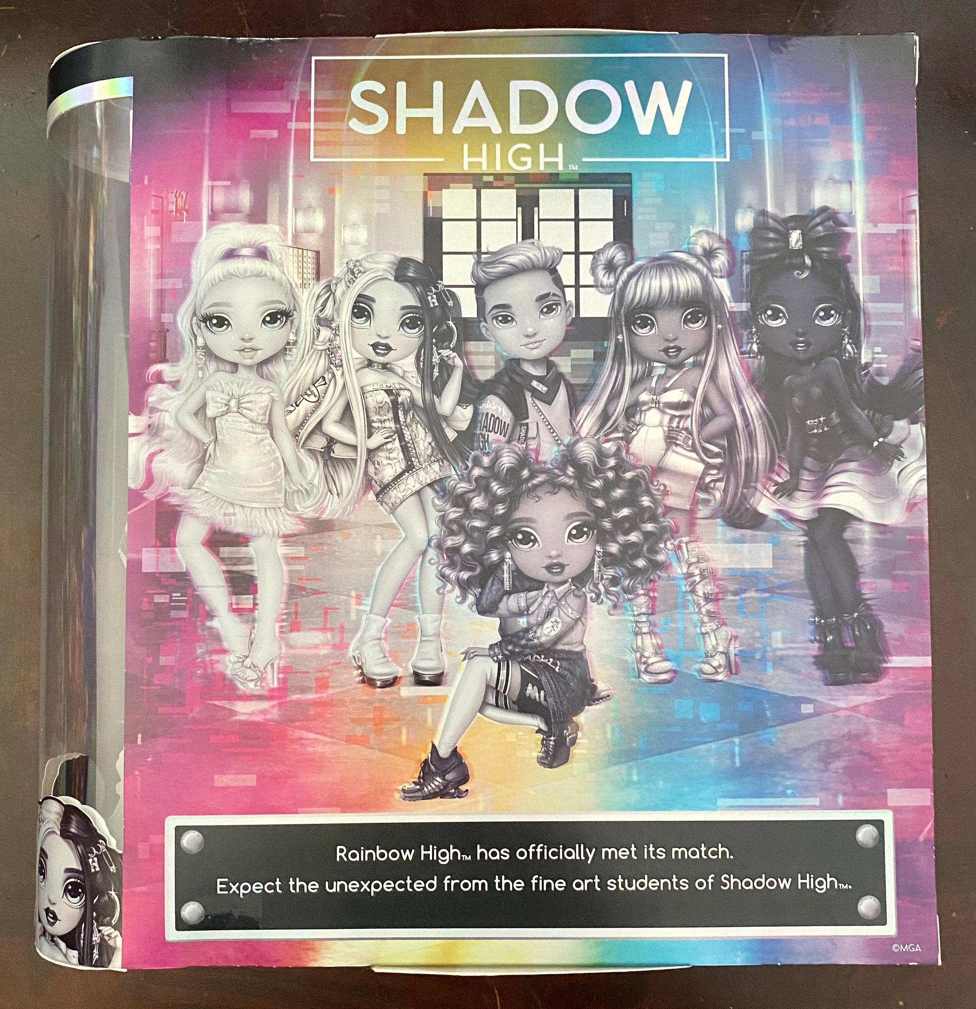 Rainbow High Shadow Series 1 Ash Silverstone Greyscale Box Fashion